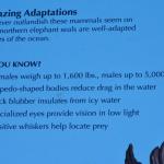 Cambria_2015_0163 (November 07, 2015)